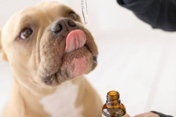 Diseño sin título 2024 10 22T195428.387 Diseño sin título 2024 10 22T195428.387