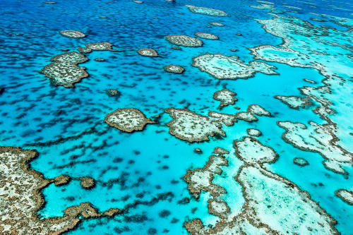 La Gran Barrera de Coral, ahora en estado “crítico” por la crisis climática