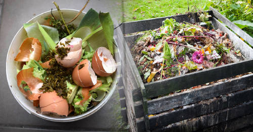 cual es mejor compostera ti Compostera casera: conoce qué es y los pasos para hacerla