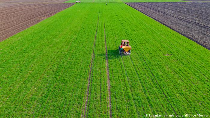 64115481_303 64115481_303