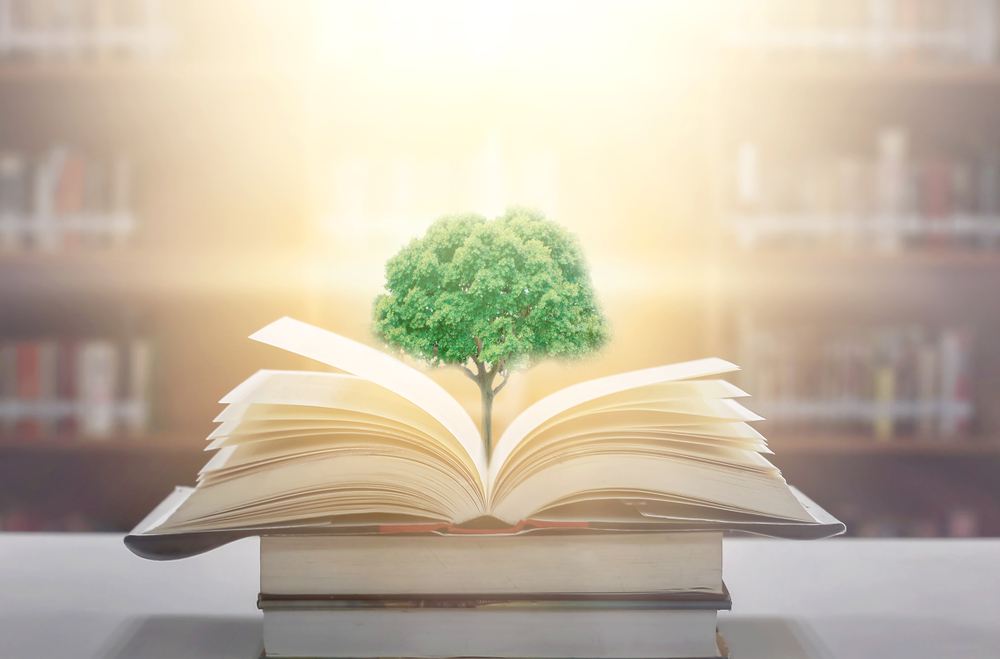 educación ambiental educación ambiental