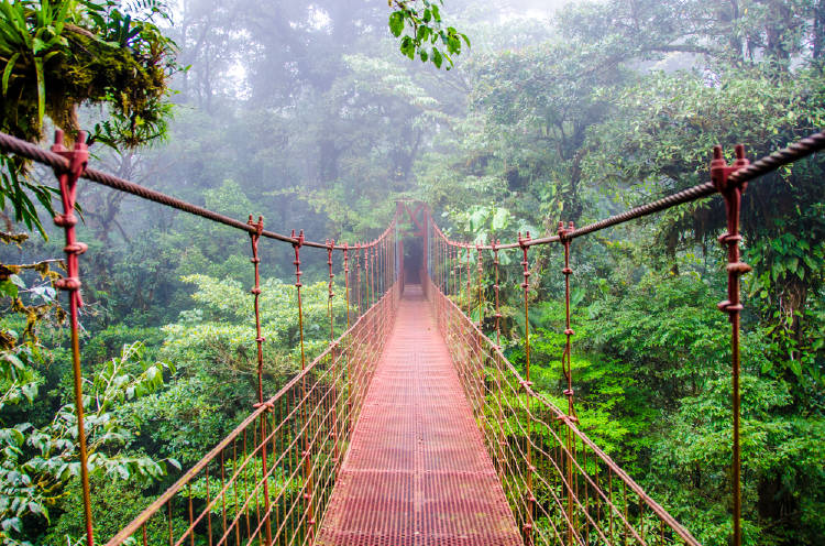 Este es el plan de Costa Rica para reducir sus emisiones de carbono