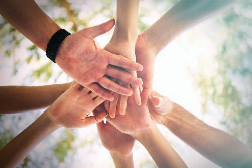 unidos naturaleza unidos naturaleza