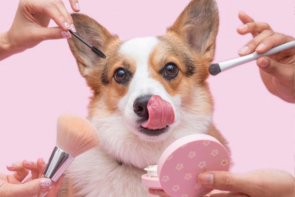 Con esta decisión, Brasil se alinea con países como México, Colombia, India, Reino Unido y los miembros de la Unión Europea, donde la cosmética cruelty free ya es una realidad legal. (PINTEREST)