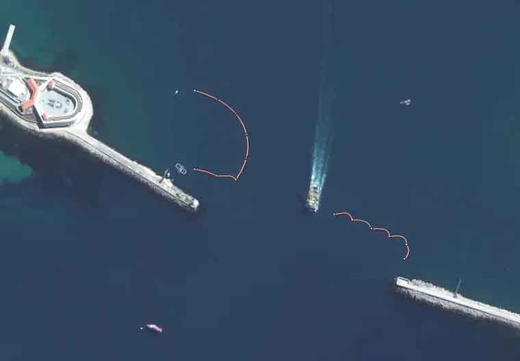 sebastopol delfines sebastopol delfines