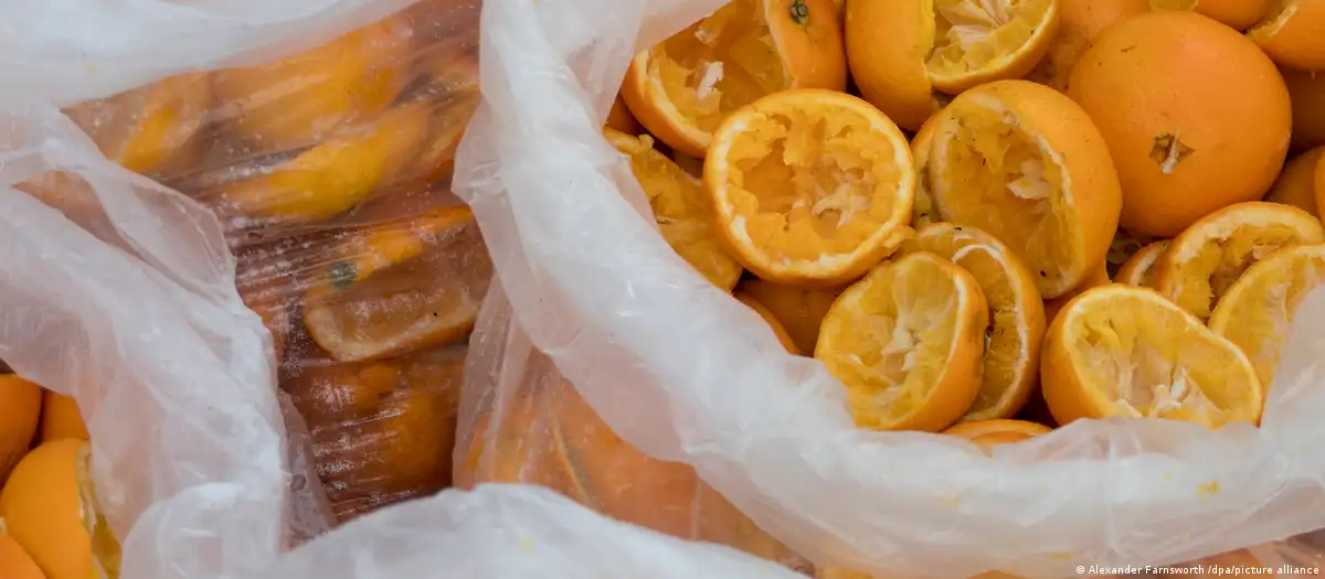 cáscaras de naranjas