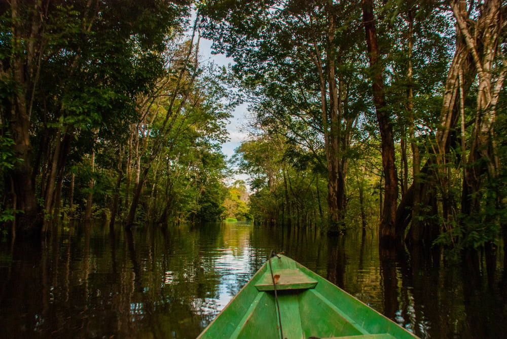 rio amanazonas