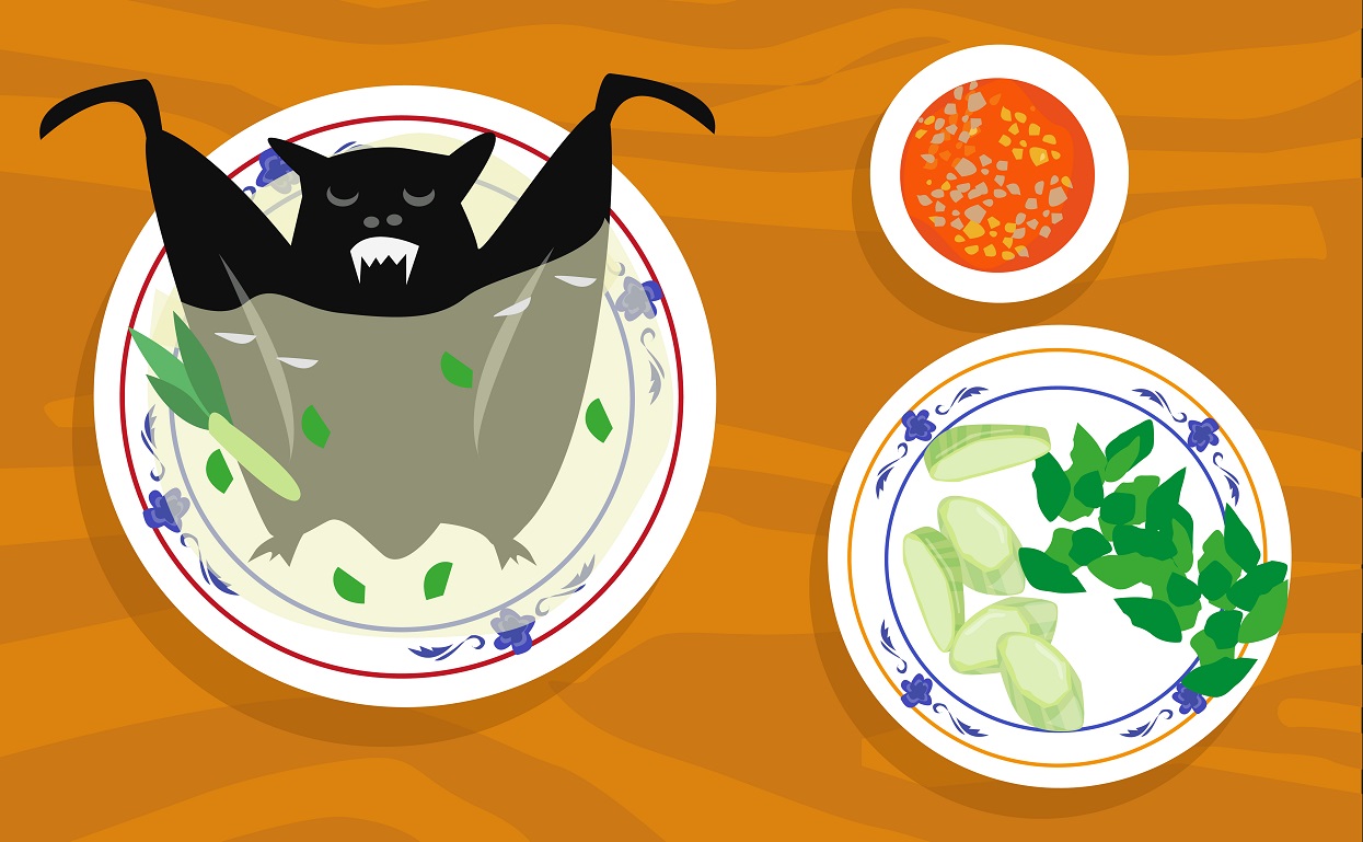 sopa murcielago sopa murcielago