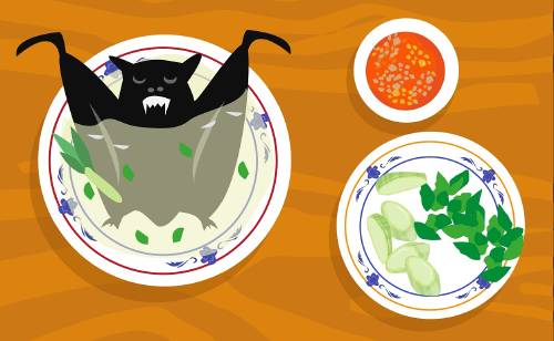 sopa murcielago sopa murcielago