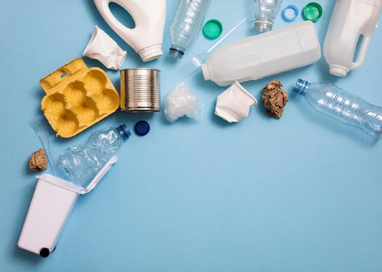 Medio ambiente Medio ambiente