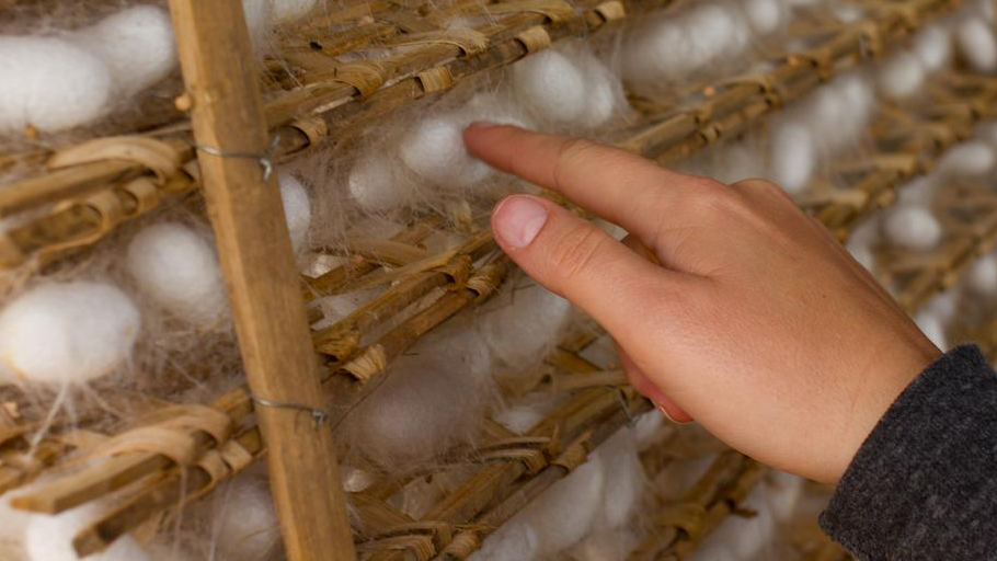 66942827_1004 66942827_1004