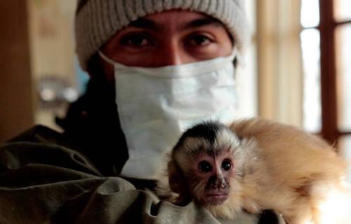 IMG 20230127 WA0079 IMG 20230127 WA0079