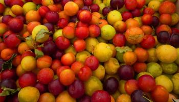 frutas Frankenstein