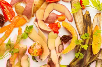 cáscaras frutas y verduras cáscaras frutas y verduras