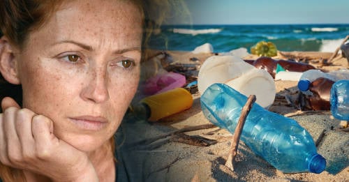 Test: ¿cuál es la huella que dejas en el ambiente?