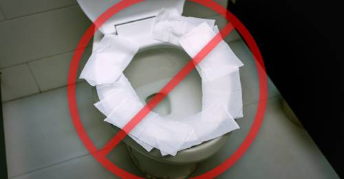 Expertos explican por qué nunca debes colocar una "capa protectora" de papel hig