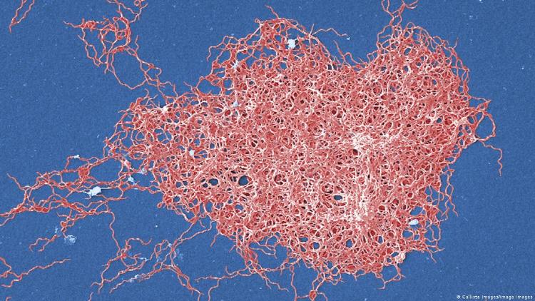 59466928_906 59466928_906