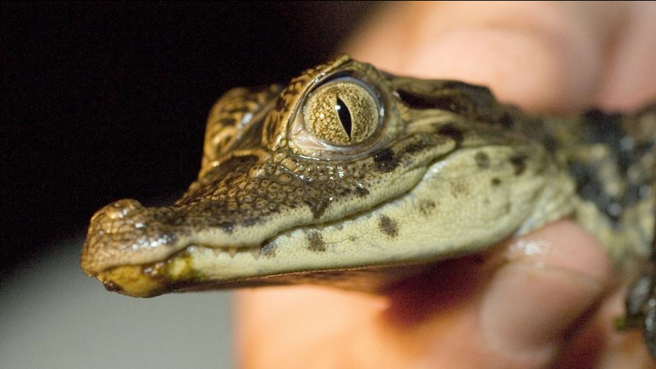 65875749_1004 65875749_1004