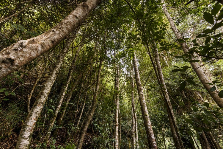 AdobeStock_88692525 AdobeStock_88692525