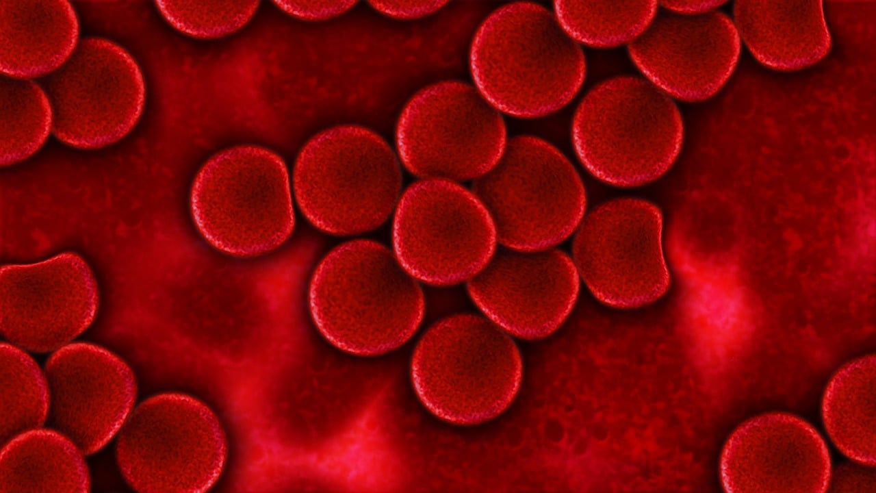 Anemia Perniciosa: ¿De Qué Se Trata Y Cómo Podemos Tratarla? | Bioguia