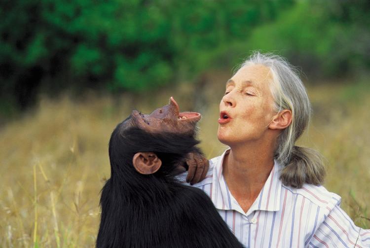 Jane Goodall Jane Goodall