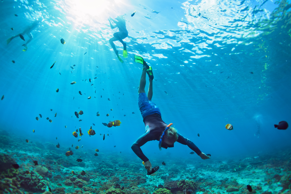 dos personas practican buceo en una de las islas de las bahamas, rodeados de peces, corales y aguas cristalinas