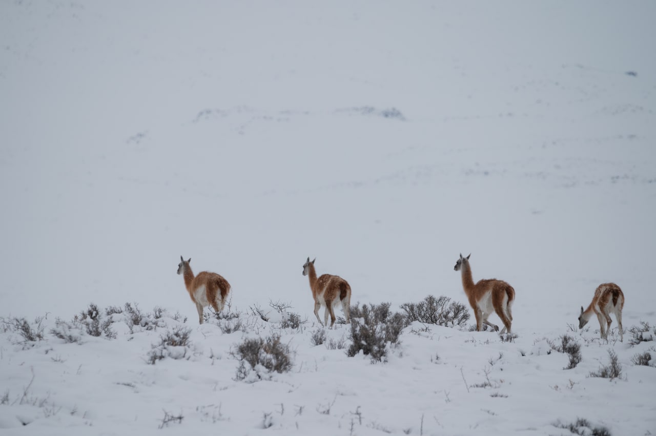 photo_2022 06 09_14 00 15 photo_2022 06 09_14 00 15