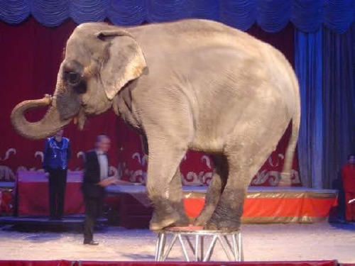 WhatsApp Image 2022 07 30 at 2.52.53 PM WhatsApp Image 2022 07 30 at 2.52.53 PM