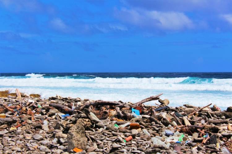 Plástico basura mar Plástico en la orilla del mar