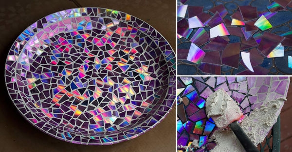 Desilusión Críticamente Mediana Cómo hacer un plato de mosaicos con CDs en 5 pasos | Bioguia