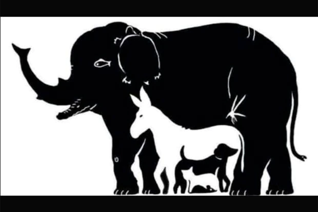 Reto visual Reto visual