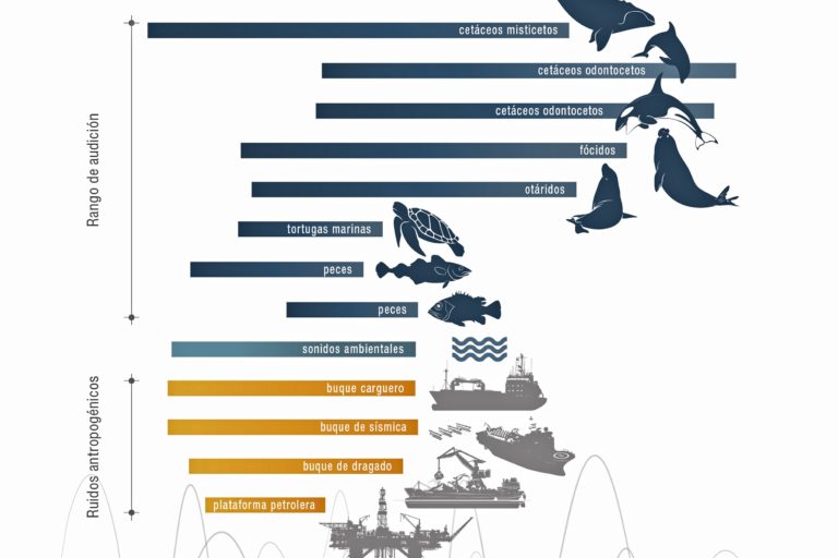 SISMICA 02 Foro 2022 Frecuencias ruidos y audicion 768x512 SISMICA 02 Foro 2022 Frecuencias ruidos y audicion 768x512