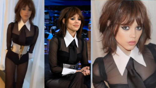 _portada bioguia 2023 02 02T164134.970 _portada bioguia 2023 02 02T164134.970