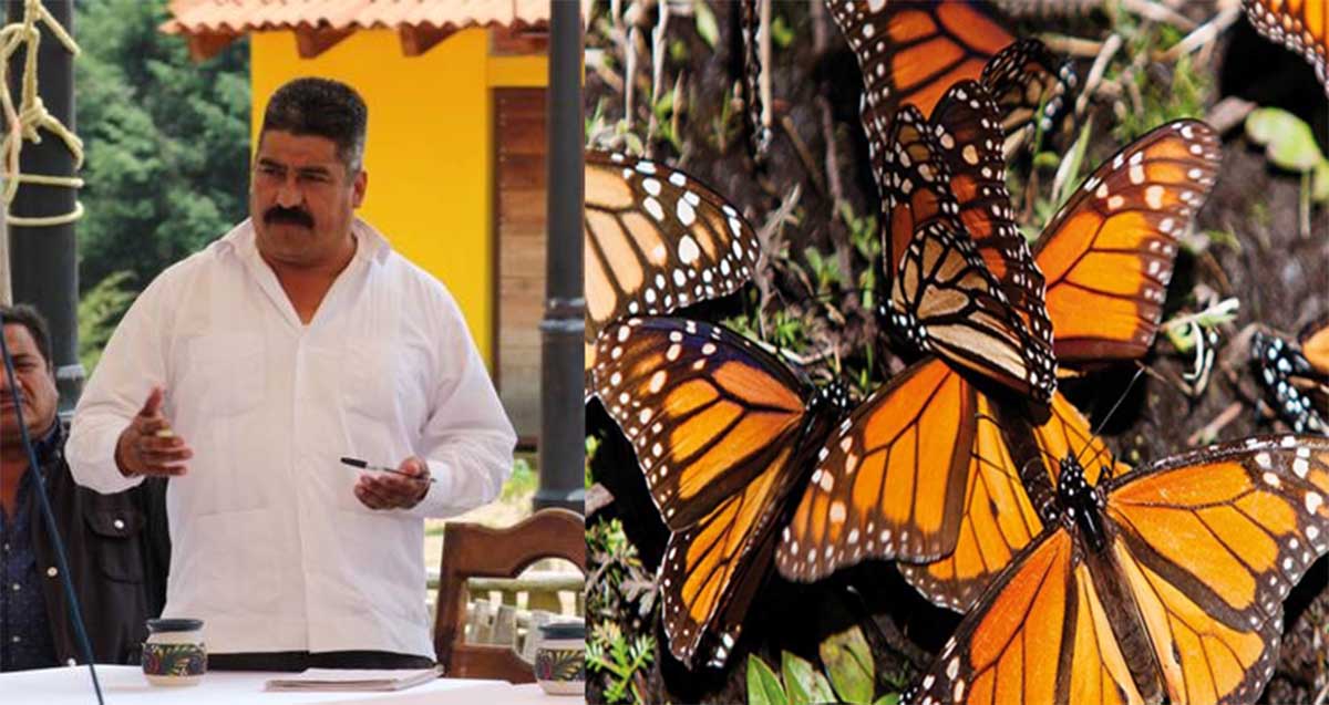 homero gomez2 homero gomez2