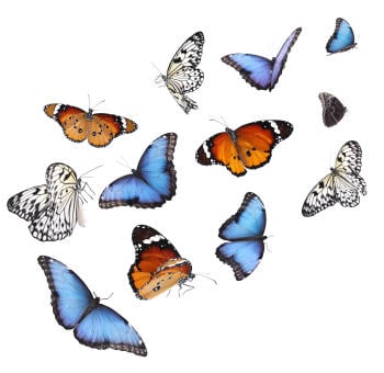 mariposas en tatuajes