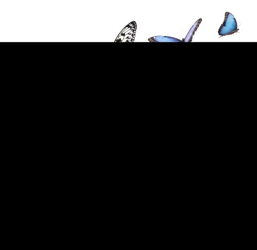 mariposas en tatuajes mariposas en tatuajes