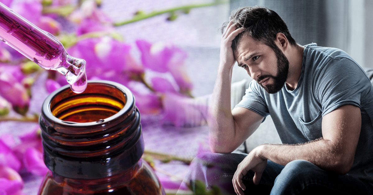 Cómo utilizar las Flores de Bach para superar distintos trastornos flores de bach