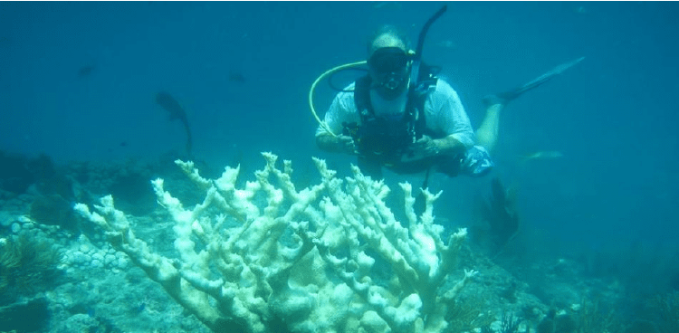 Captura de pantalla 2024 01 18 092849 Captura de pantalla 2024 01 18 092849