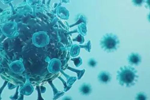 virus nationalgeographic.com.es