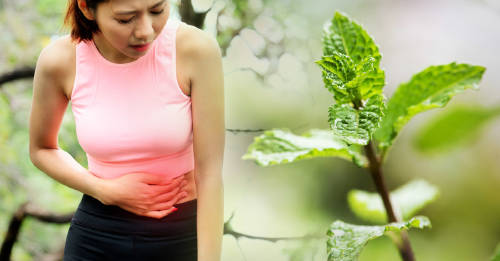 Problemas de salud que puedes sanar con plantas