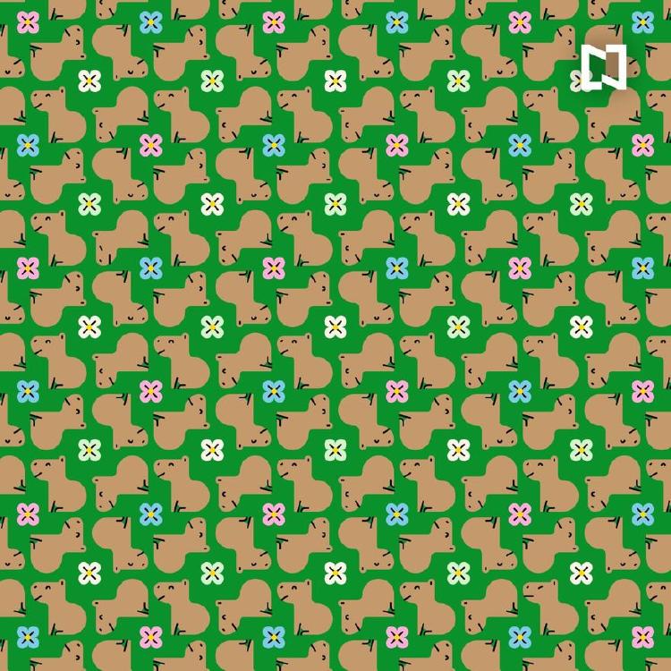 Reto visual Reto visual