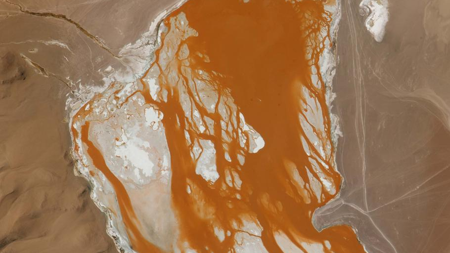 67271631_1004 67271631_1004