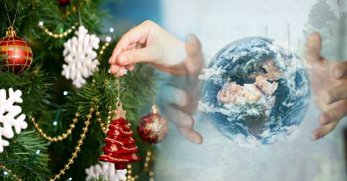 ¿Qué tipo de árbol de navidad es más amigable con el planeta?