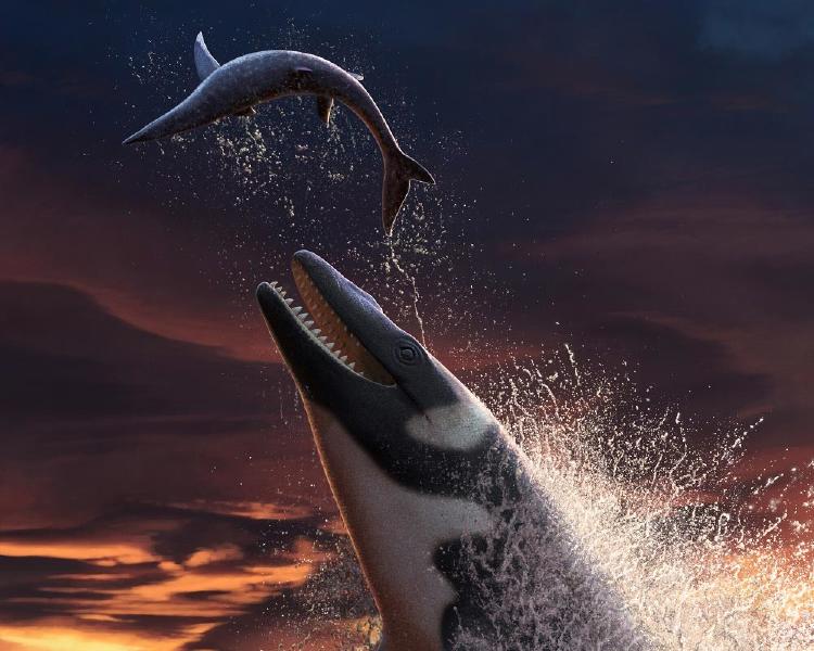 Thalassotitan atrox Crop Thalassotitan atrox Crop