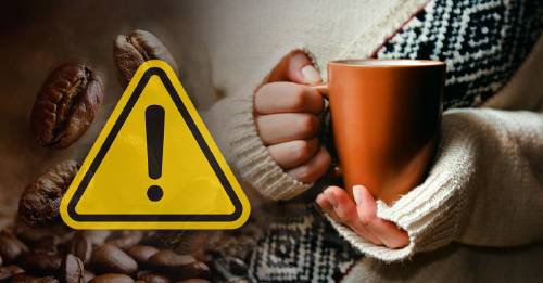 No son solo los animales: el café también está en peligro de extinción