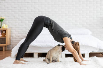 yoga perro