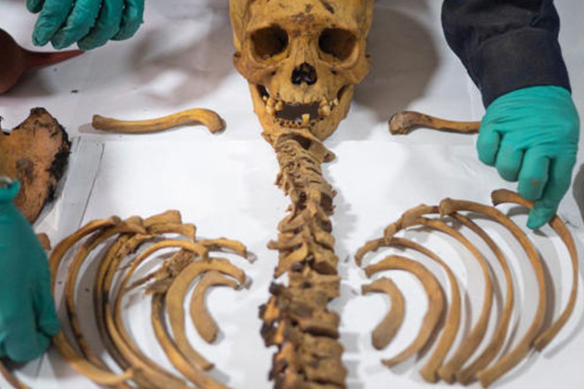 Remains of a pre Hispanic burial that was found during an excavation© AFP via Getty Images 