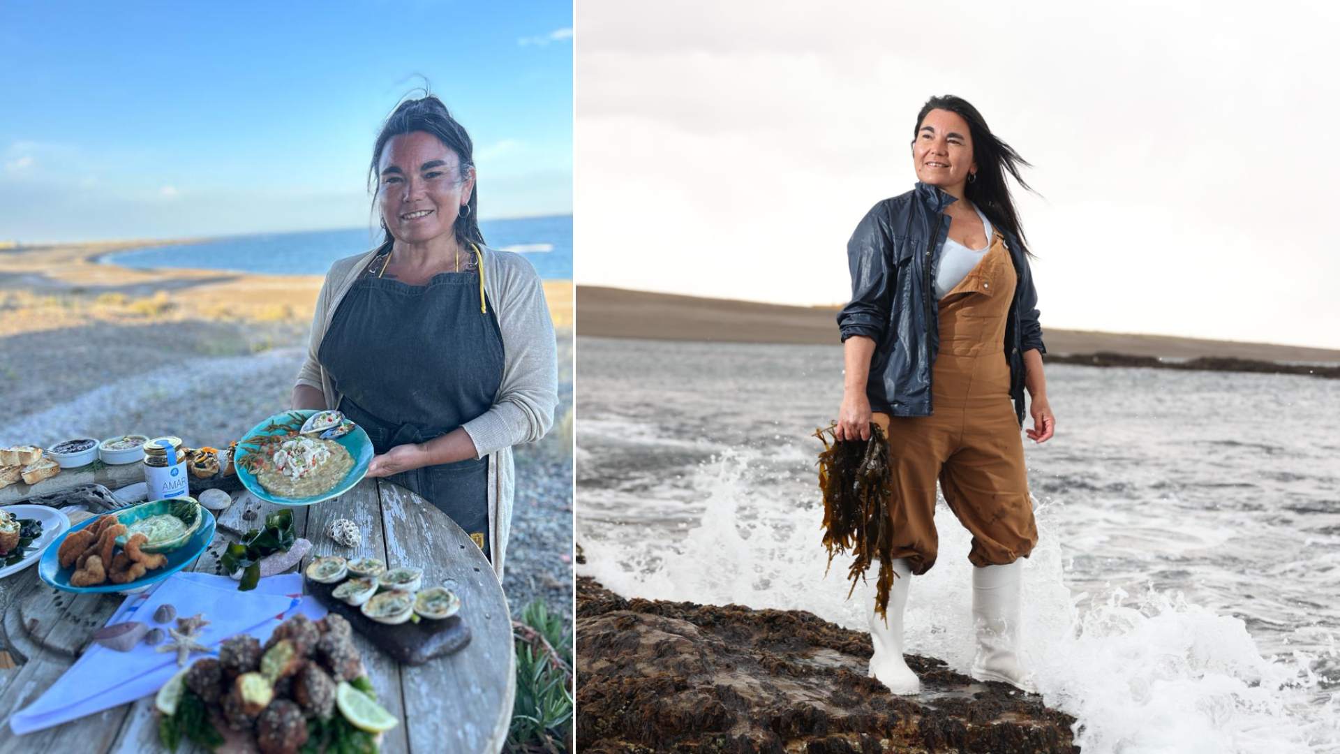 Amar Algas Amar Algas