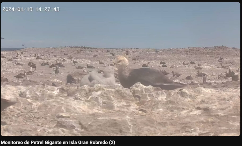 baja IMG_5611 1024x620 baja IMG_5611 1024x620