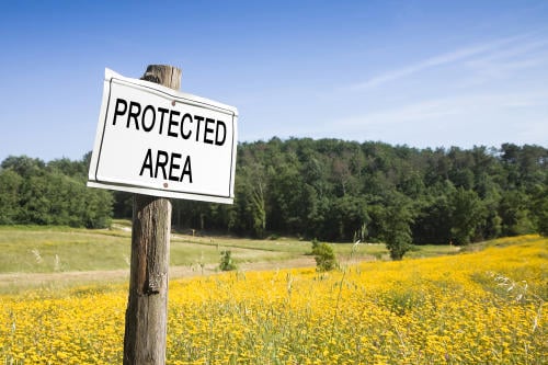area protegida cartel
